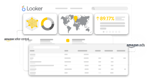 Amazon Performance Dashboard - Amazon Ads & Amazon Lisitngs